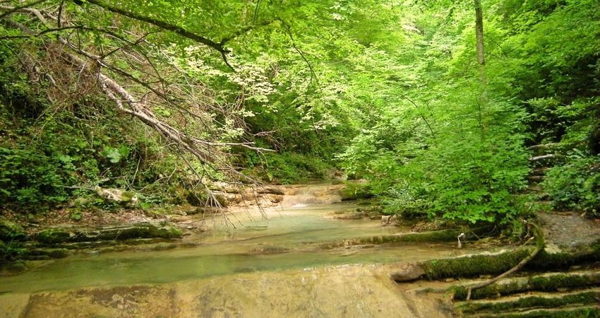 Doğu Karadeniz Yaylaları ve Batum Turu (Klasik Program)