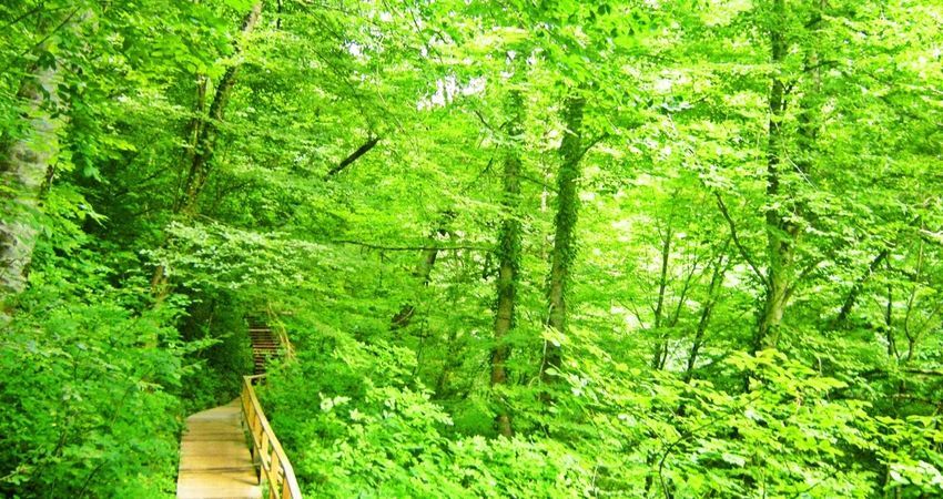 Doğu Karadeniz Yaylaları ve Batum Turu (Klasik Program)