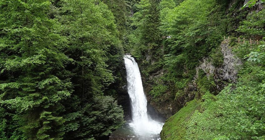 Doğu Karadeniz Yaylaları ve Batum Turu (Klasik Program)