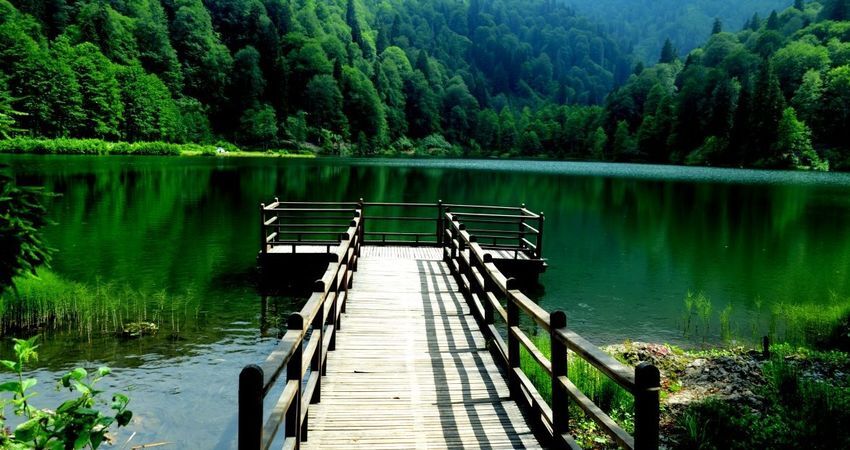 Doğu Karadeniz Yaylaları ve Batum Turu (Klasik Program)