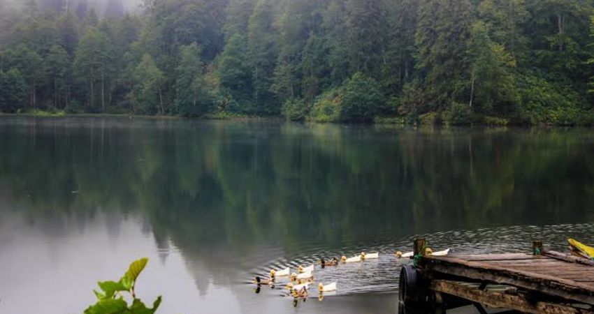 Doğu Karadeniz Yaylaları ve Batum Turu (Klasik Program)