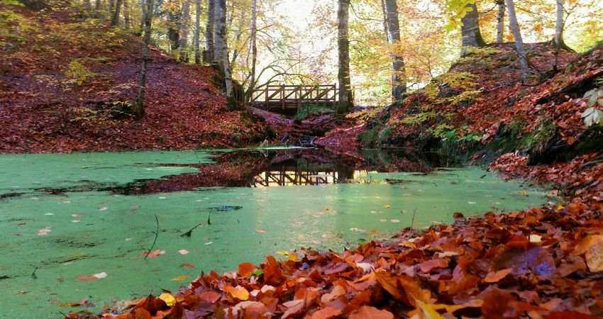 Antalya Çıkışlı Batı Karadeniz Turu Beypazarı Rotası