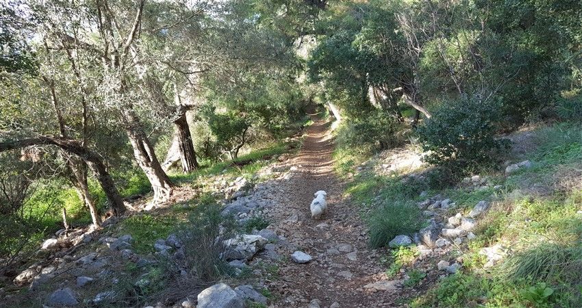 Gelidonya Feneri Doğa Yürüyüşü Ve Korsan Koyu