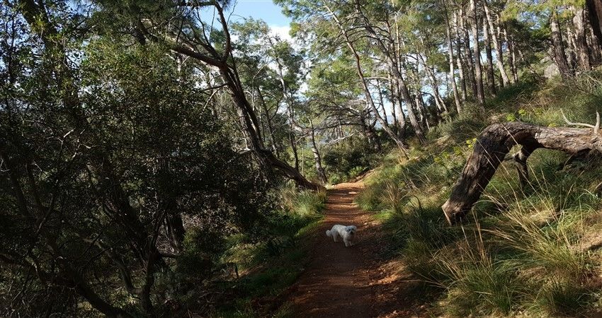 Gelidonya Feneri Doğa Yürüyüşü Ve Korsan Koyu