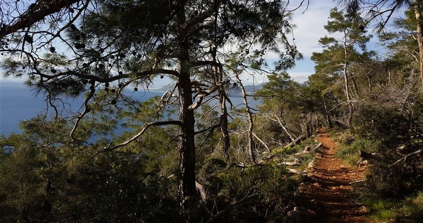 Gelidonya Feneri Doğa Yürüyüşü Ve Korsan Koyu