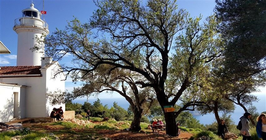 Gelidonya Feneri Doğa Yürüyüşü Ve Korsan Koyu